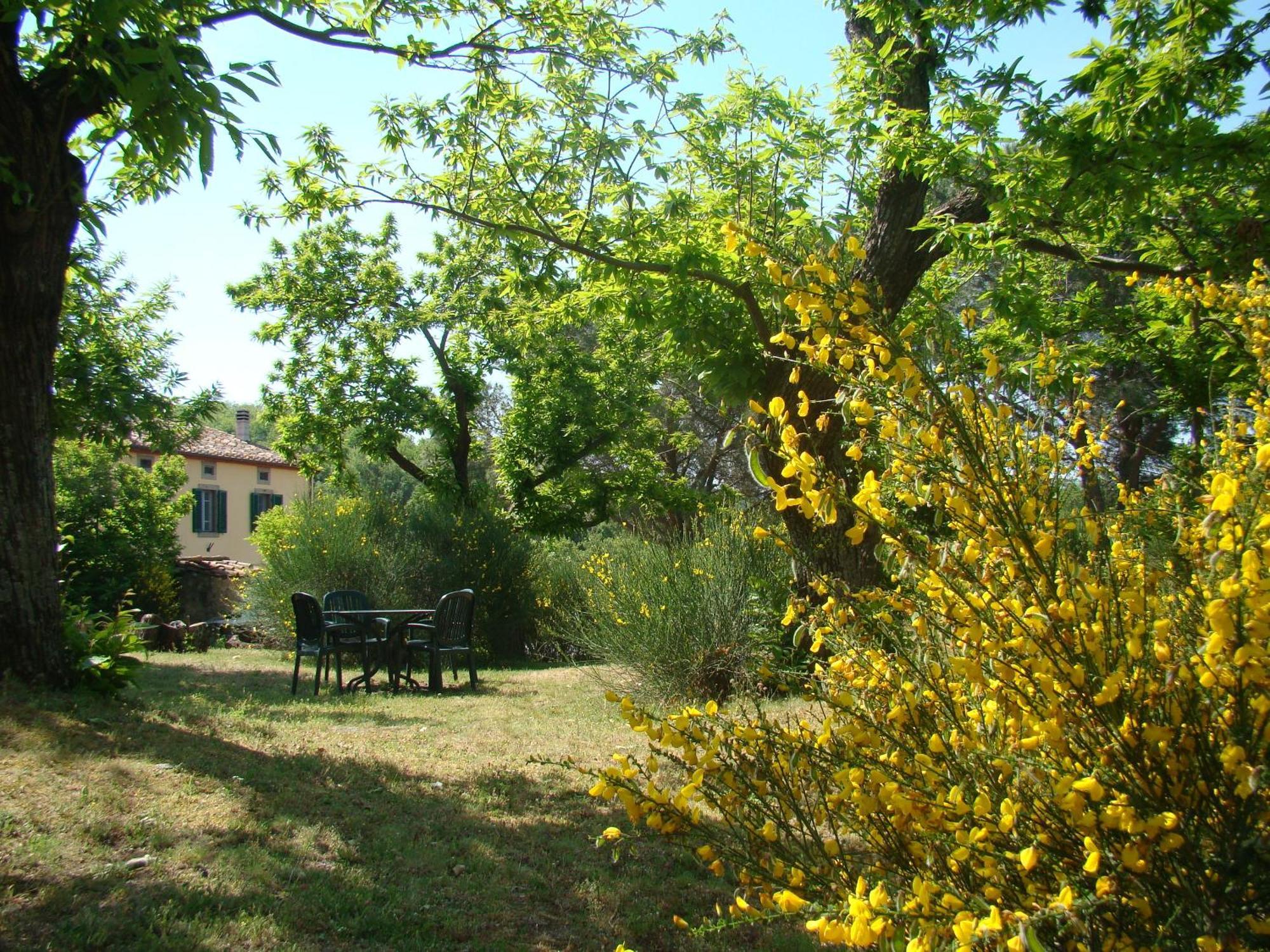 Borgo Tepolini Country House Кастель-дель-П'яно Екстер'єр фото