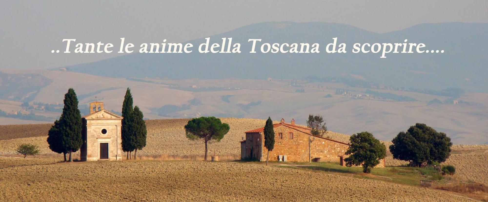 Borgo Tepolini Country House Кастель-дель-П'яно Екстер'єр фото
